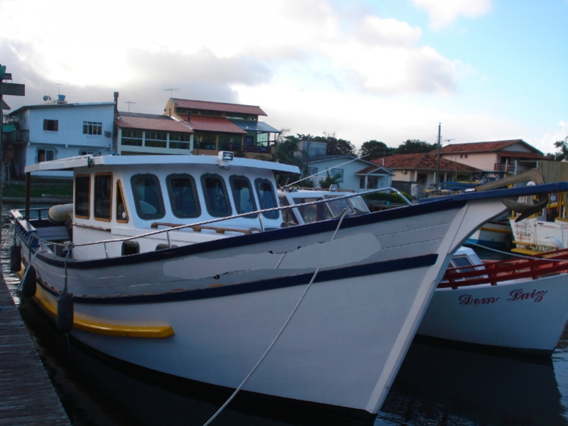 Barco Madeira 10,5mt MWM229 v6